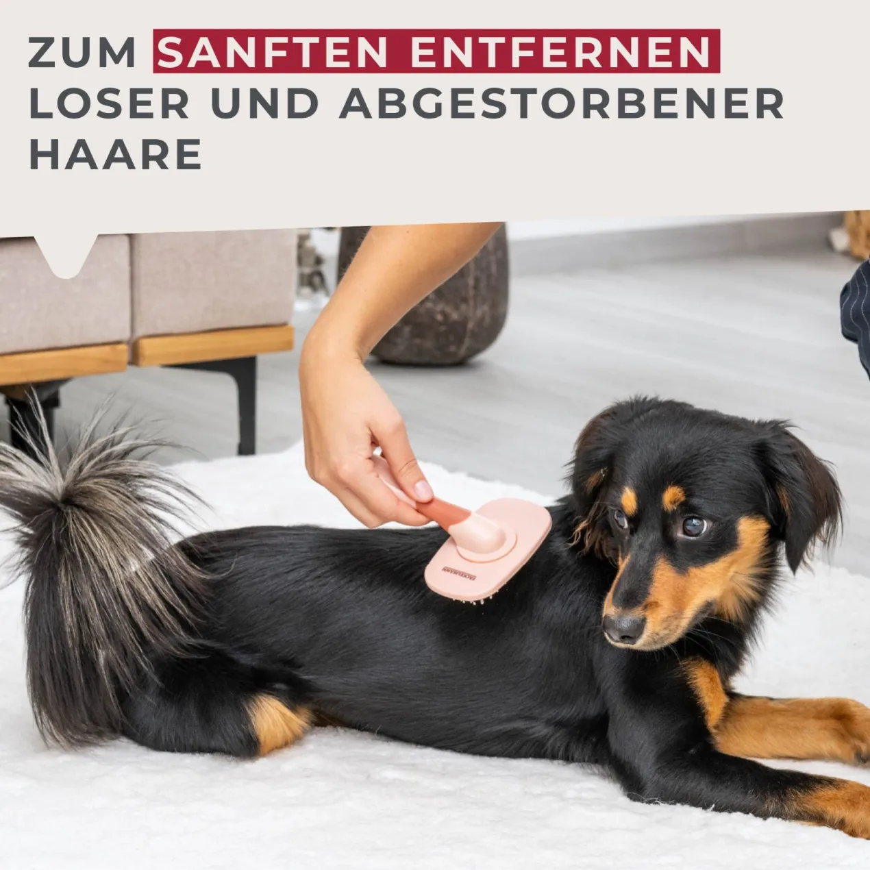 Hundebürste Our Pets