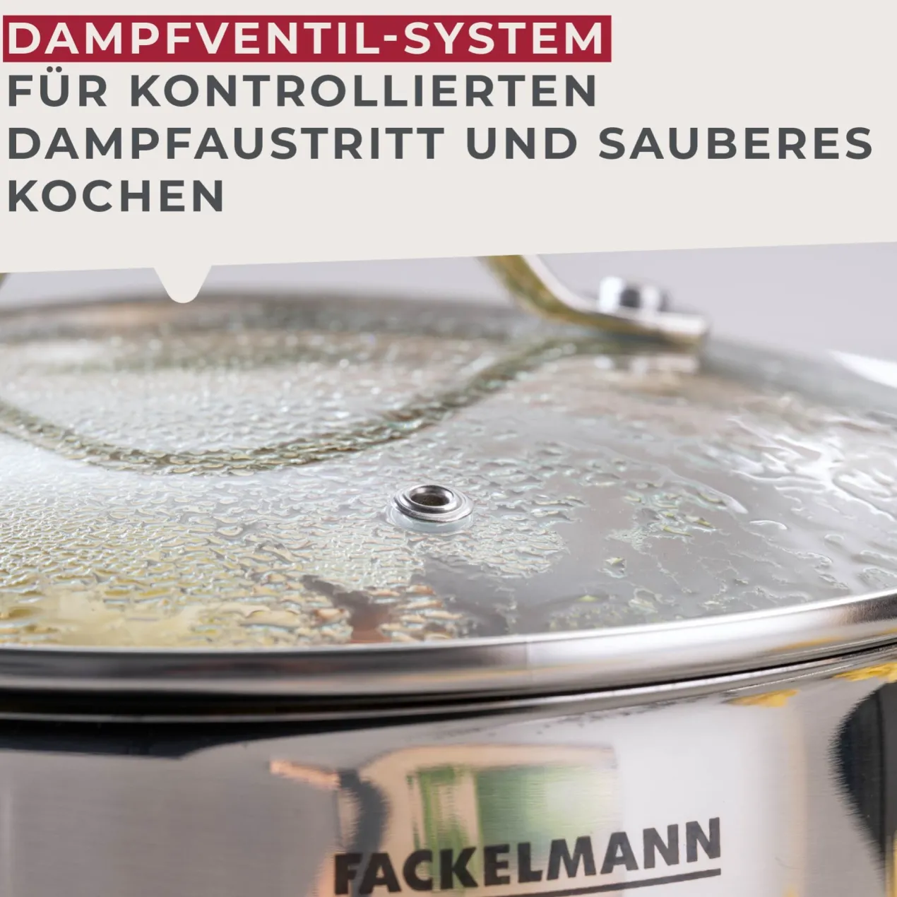 Kochtopf mit Deckel Lara, Ø20cm, 3L, Edelstahl
