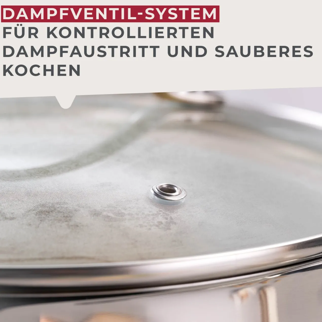 Kochtopf mit Deckel Lara, Ø20cm, 2,5L, Edelstahl