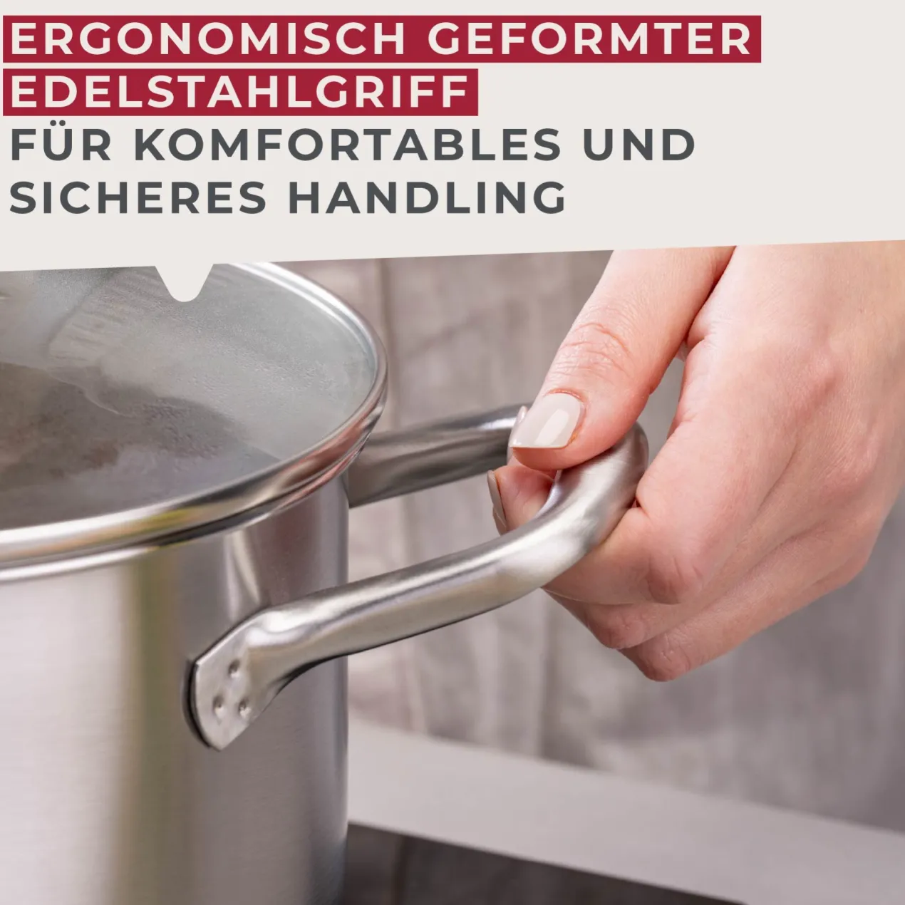 Kochtopf mit Deckel Ovalgriff, Ø20cm, 3L, Edelstahl