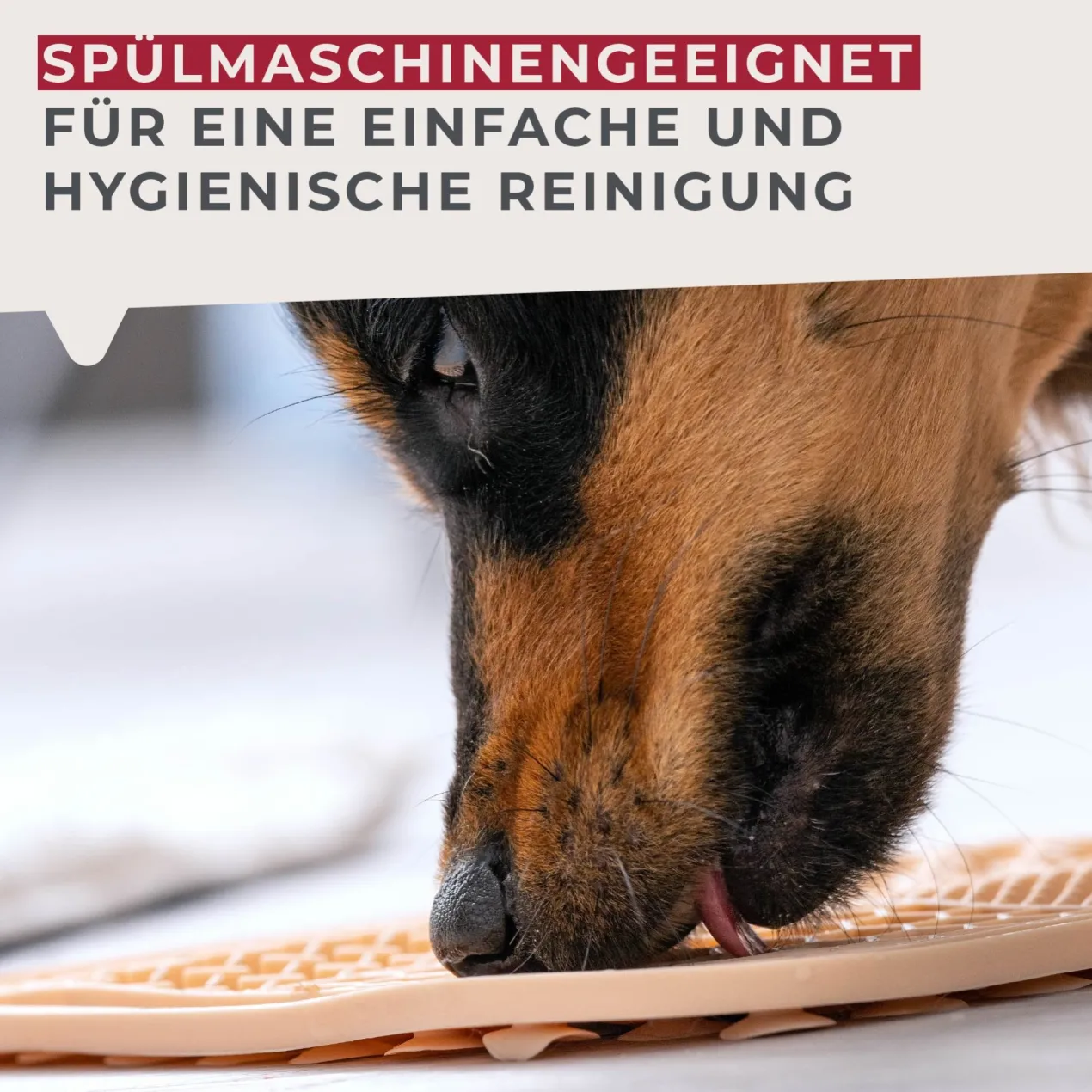 Schleckmatte Our Pets