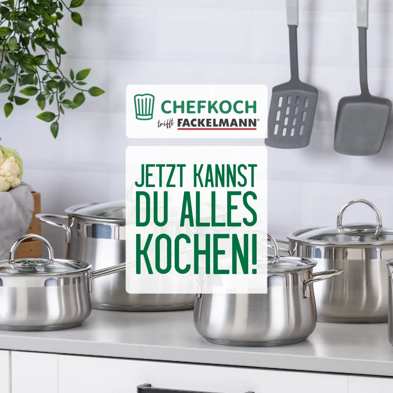 Schäler-Set, 2 Stück