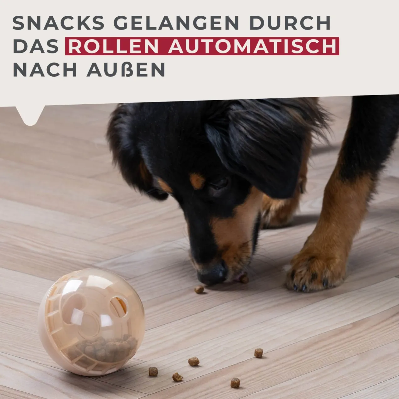 Snack-Ball Our Pets halb-transparent
