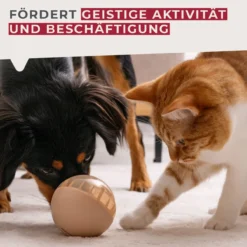 Snack-Ball Our Pets halb-transparent