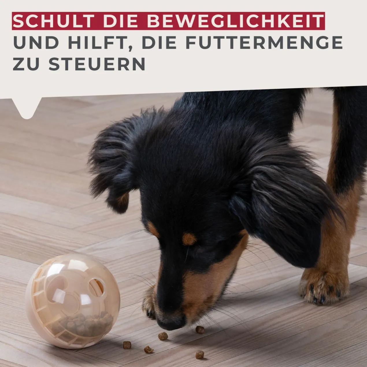 Snack-Ball Our Pets halb-transparent