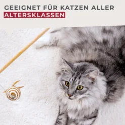 Spielzeugangel für Katzen Our Pets